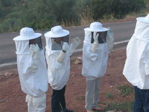 品牌大部分的產品都加入了蜜糖,這天我們在Founder家的花園親親他養的蜜蜂.其實我當時真係好驚,但乜都要試下嘛!