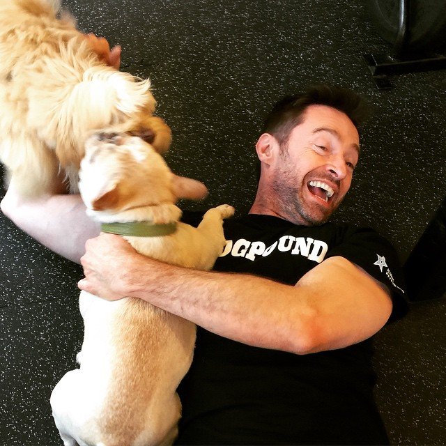 11142210_460210100814912_1715045843_n