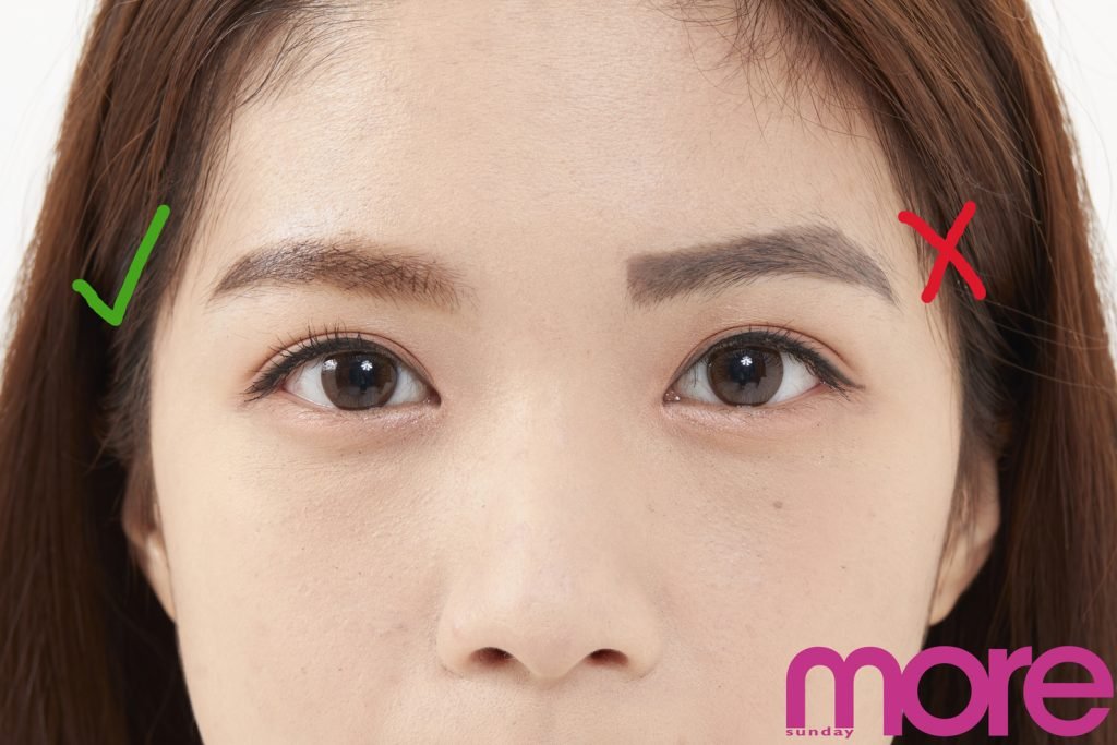 畫眉 (圖片來源:More編輯部)