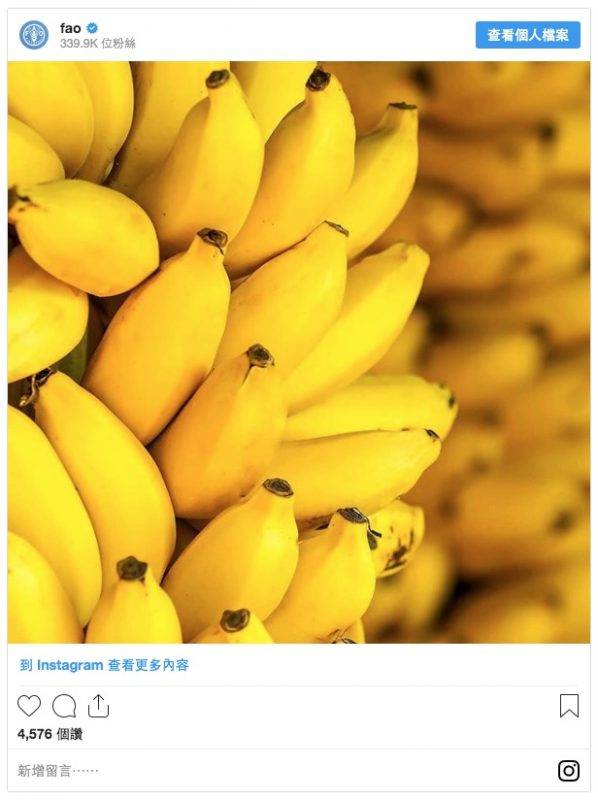 燃脂福利期