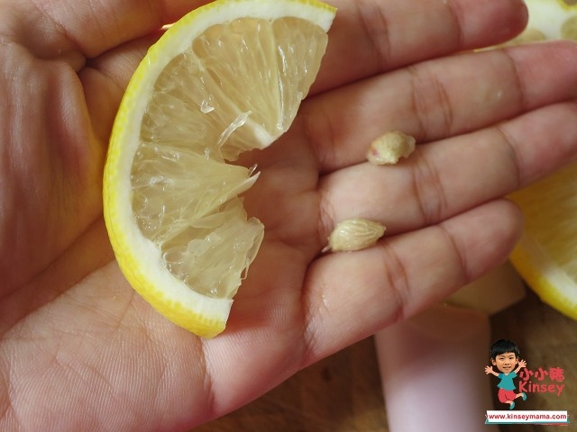 陳皮冰糖燉檸檬 之後切片，去掉檸檬核