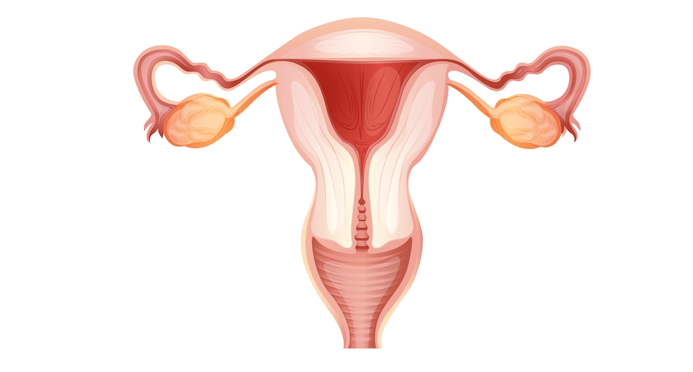 催經 如果經期太長時間沒有來，會造成子宮內膜增厚、增生，甚至子宮內膜癌。