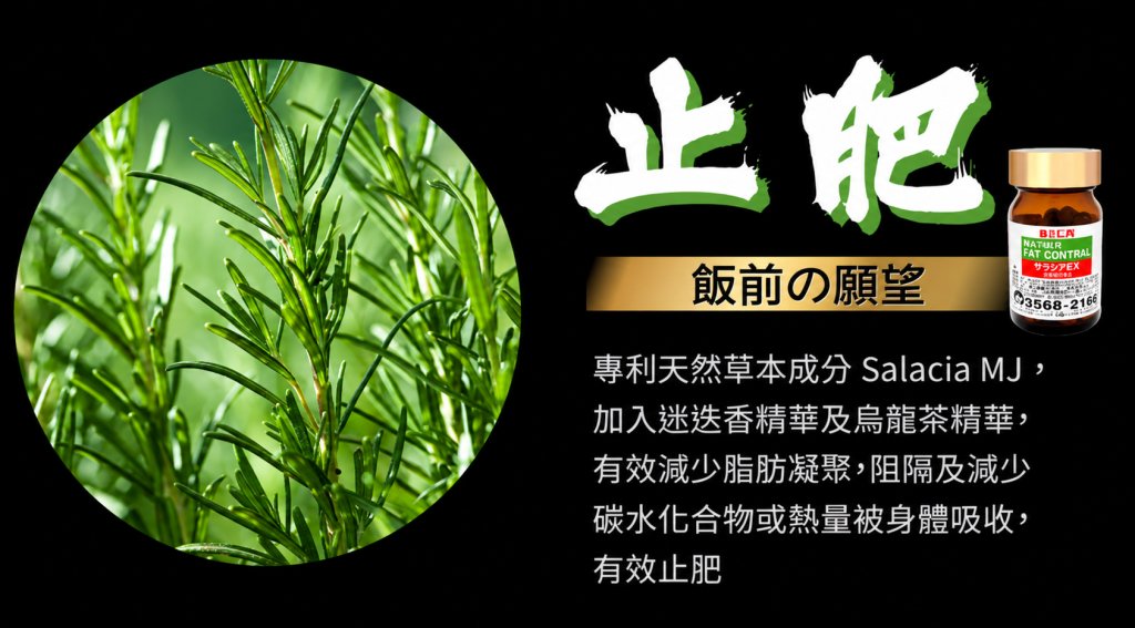 日本懶人瘦腰神物 (圖片來源:3ChemBio)
