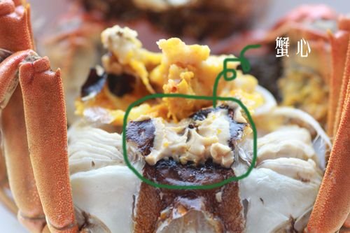 蟹心藏在蟹腹中間黃膏最厚的地方,極寒涼勿吃。