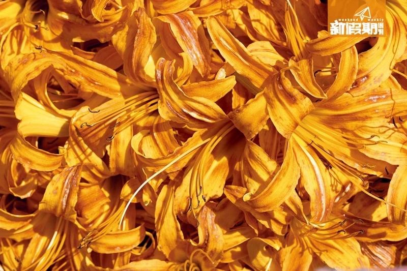 中毒食物 金針的根部和花均含毒素秋水仙鹼。