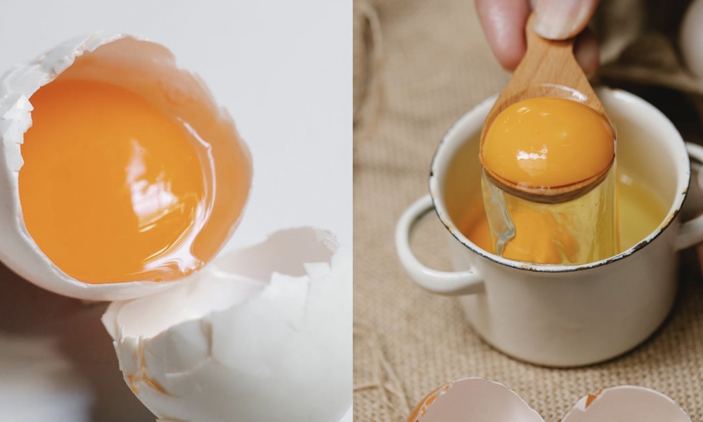 雞蛋繫帶營養價值等同燕窩？日本專家揭3大功用＋柝解雞蛋高膽固醇迷思！