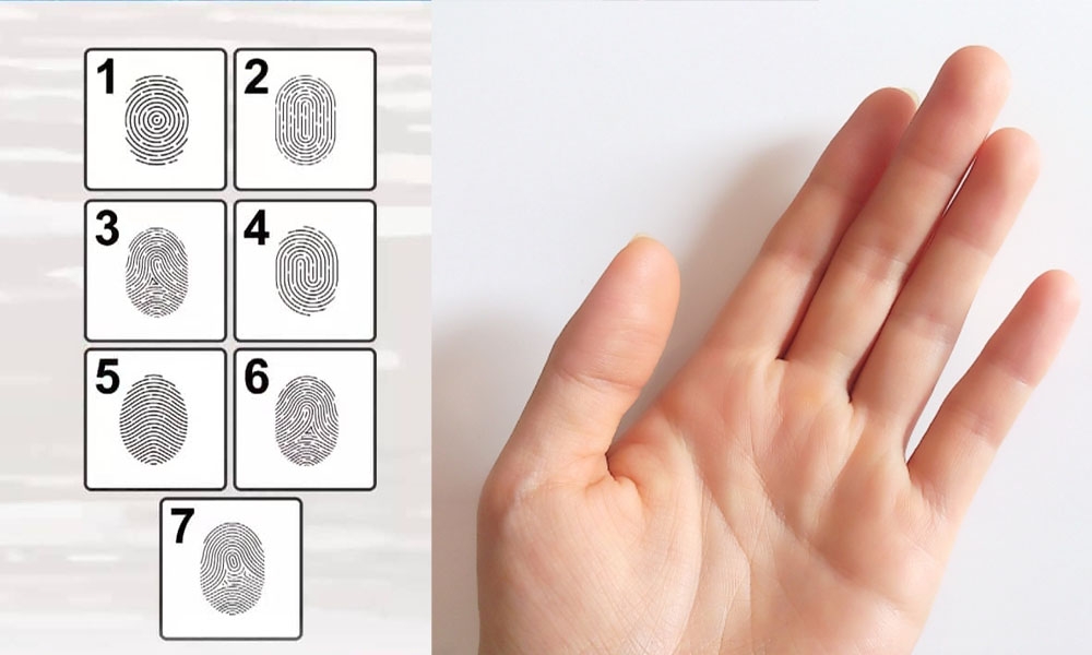 7種指紋透視性格特徵 一指即了解：斗型紋=行動力強、箕型紋=易相處！
