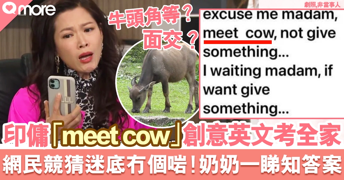 印傭「meet cow」創意英文究竟點解「同隻牛面交？」人妻僱主都被考起！