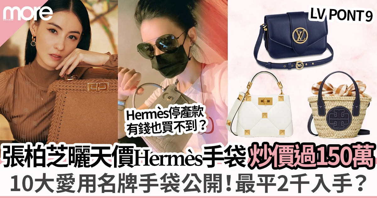 張柏芝曬天價Hermès手袋   好友是Hermès超級VIP入場最低消費門欄過千萬？
