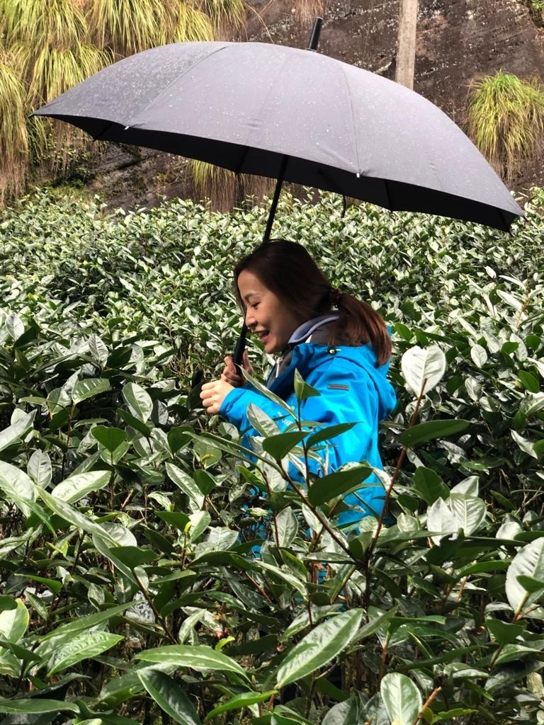 品酒達人 茶配 Wing是福建人，對在武夷山上種植的岩茶有種特別的感情。在學茶時她更不時到訪當地的茶園取經。