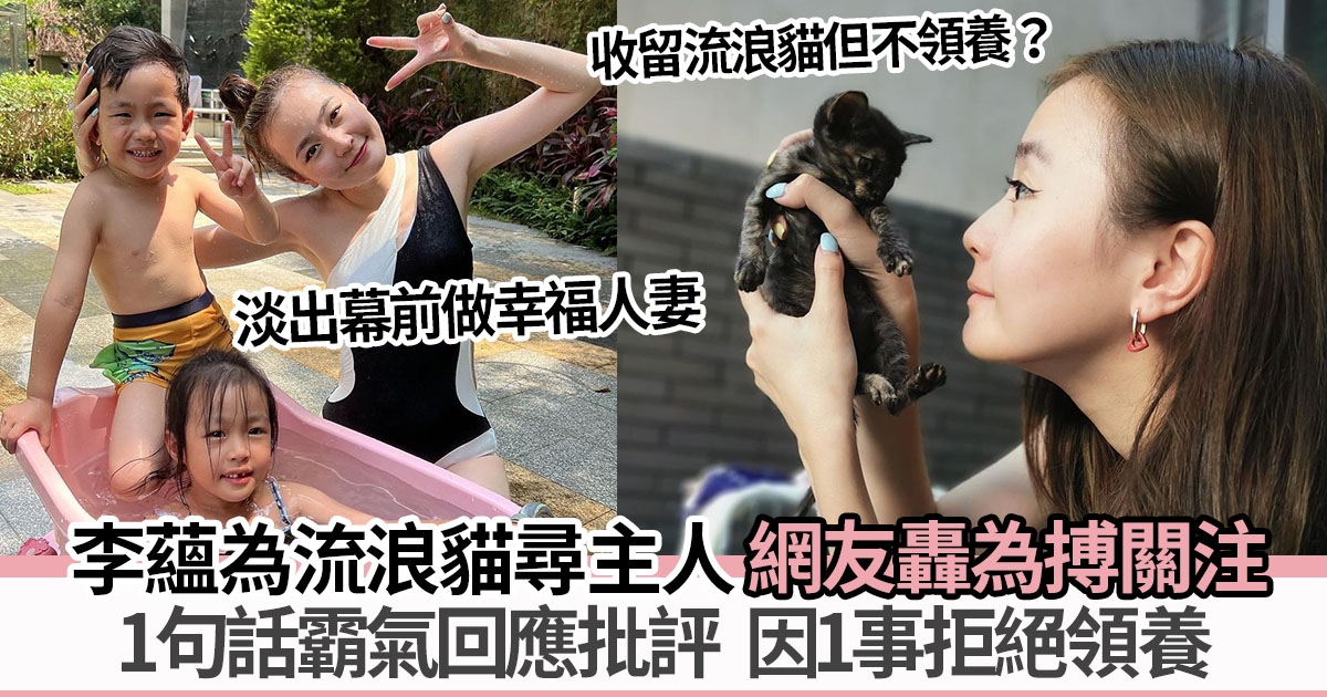 30歲李蘊為貓咪徵主人被網友砲轟 因1事拒絕領養寵物