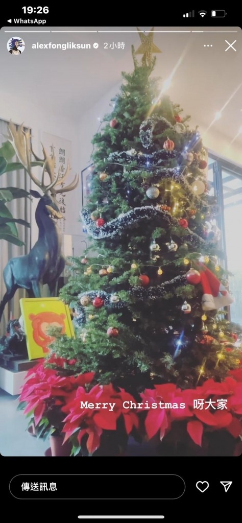 方力申 筍盤 近日聖誕節，方力申在社交媒體貼上自家近3米高的聖誕樹，並祝粉絲們聖誕快樂。