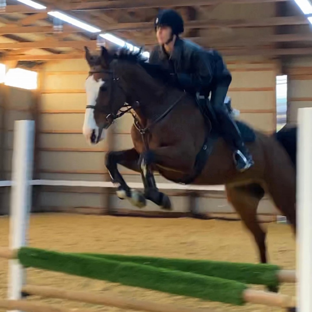 Bella Hadid自小練習馬術，曾經夢想成為騎馬選手！