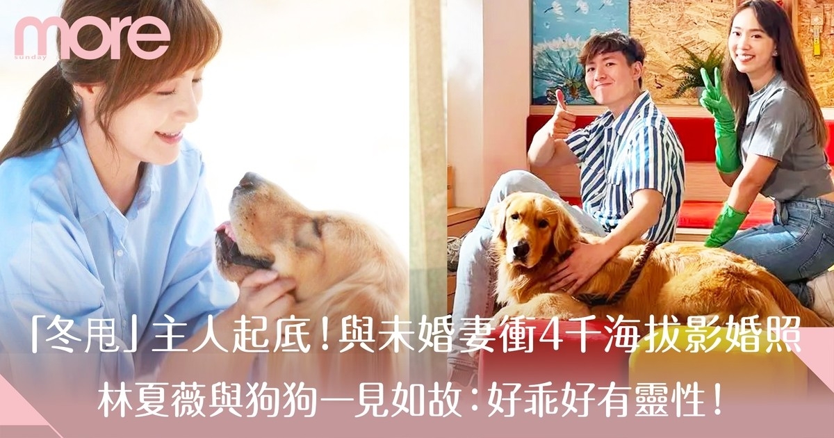 寵愛PetPet｜「冬甩」主人身份曝光 同是TVB藝人！林夏薇與狗狗一見如故