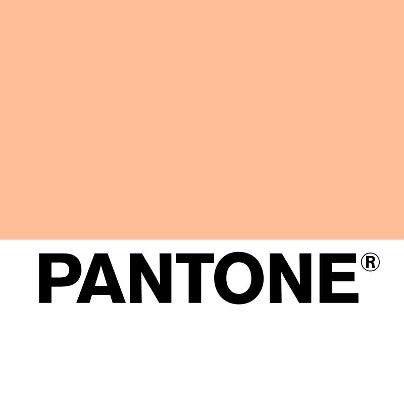 PANTONE 2024年度代表色出爐！Peach Fuzz柔和桃手袋穿搭推介