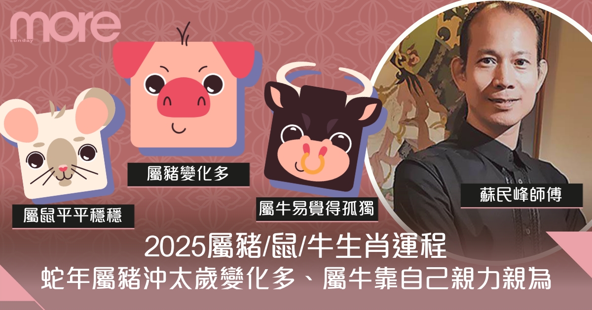 屬豬/鼠/牛生肖運程2025｜蛇年屬豬驛馬年、屬牛有遠方貴人