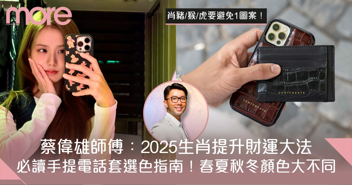 2025蛇年12生肖提升財運方法：必讀手提電話套選色指南