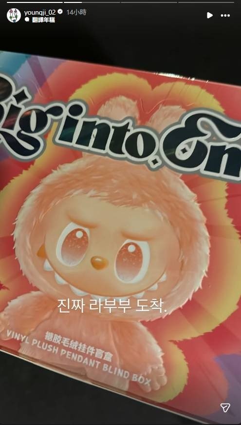 Labubu升值 (圖片來源:IG@youngji_02)