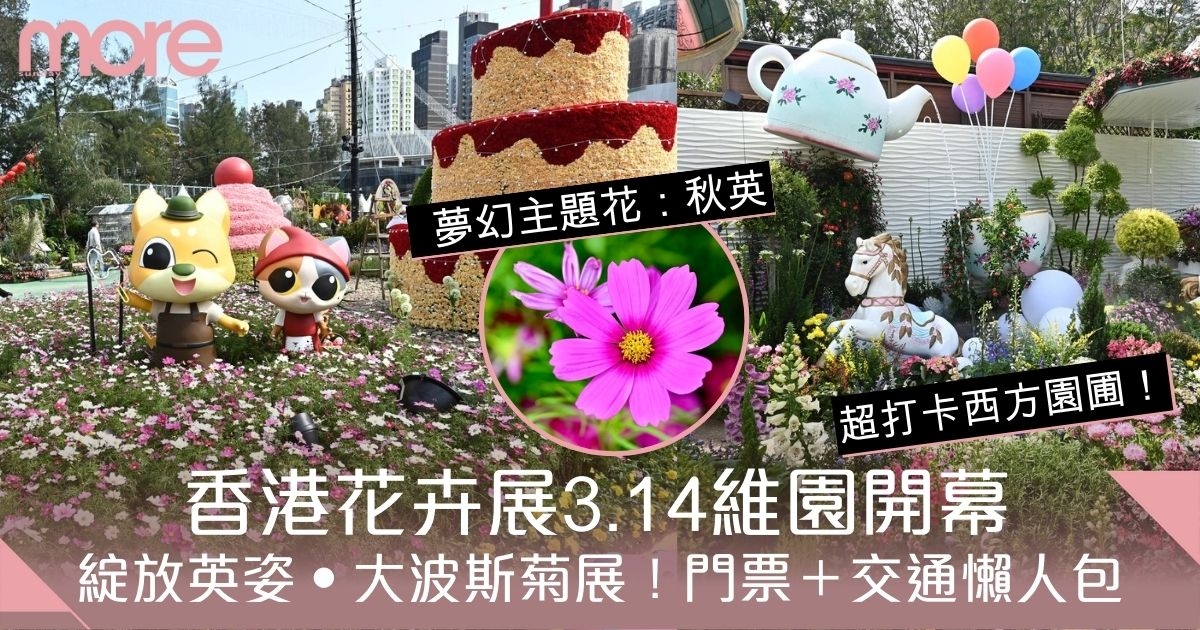 香港花卉展2025｜「綻放英姿」大波斯菊展3.14維園開幕　門票及交通懶人包