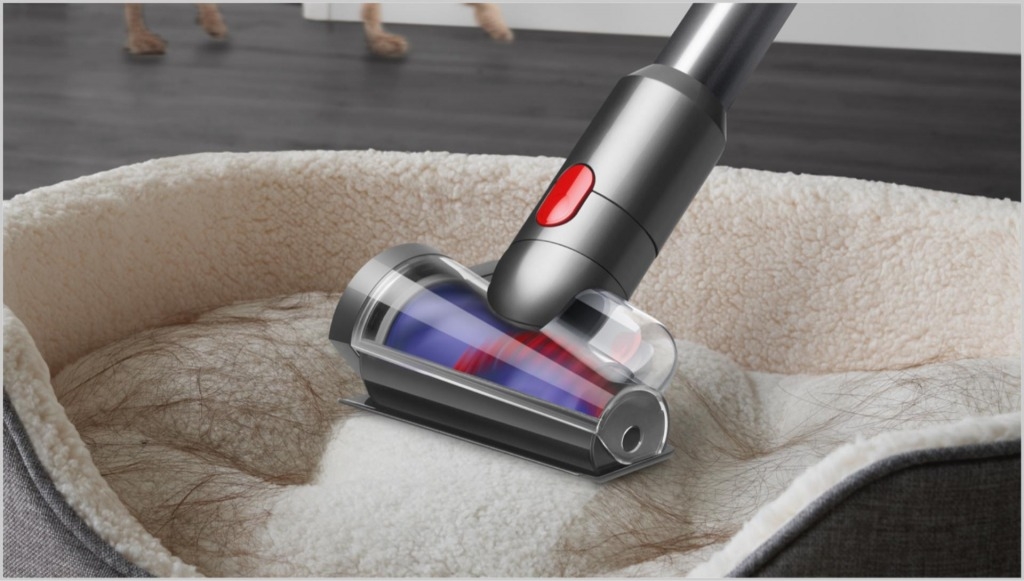 寵物 (圖片來源:Dyson)