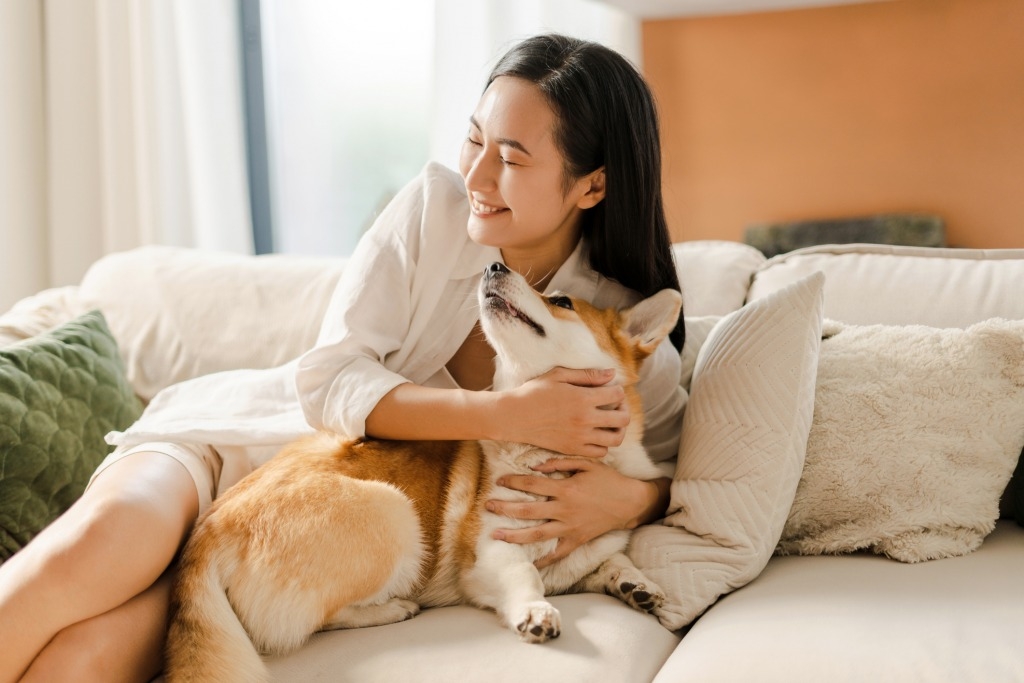 寵物 (圖片來源:istock)