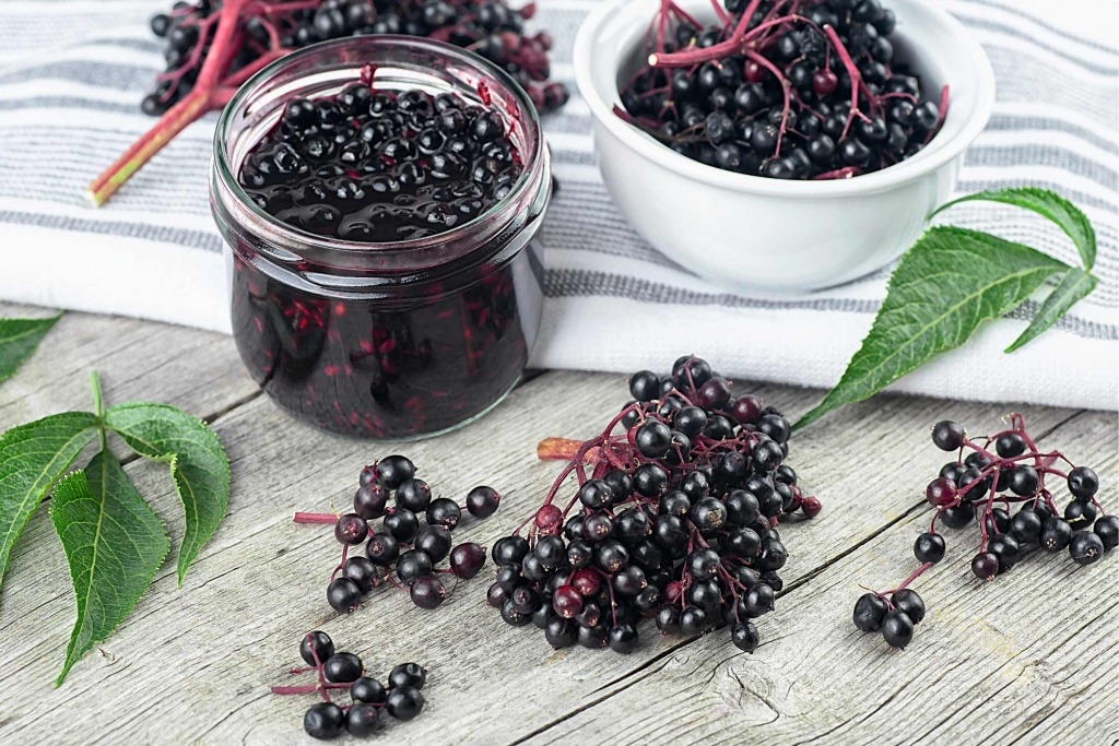 黑色食物 黑色食物:接骨木果(圖片來源:Canva)