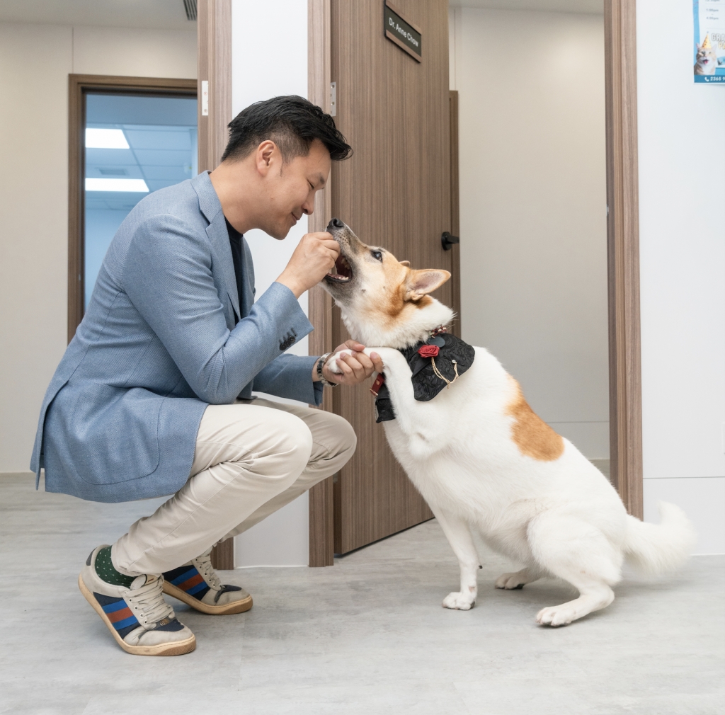 黃大仙區動物醫院 (圖片來源:Pet Space)