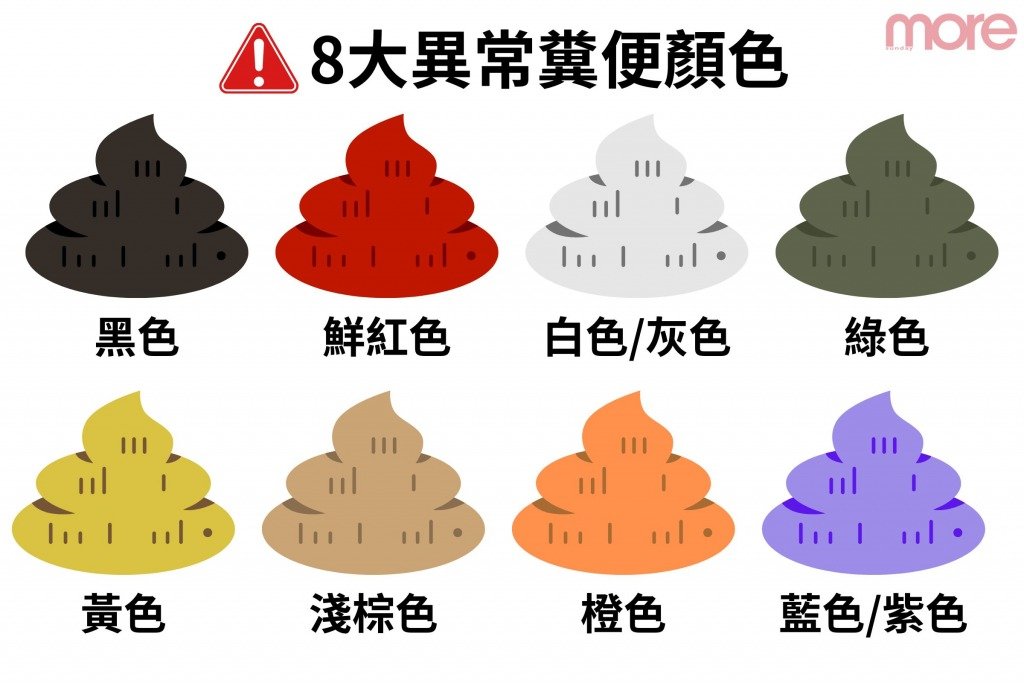糞便顏色 (圖片來源:MORE製圖)