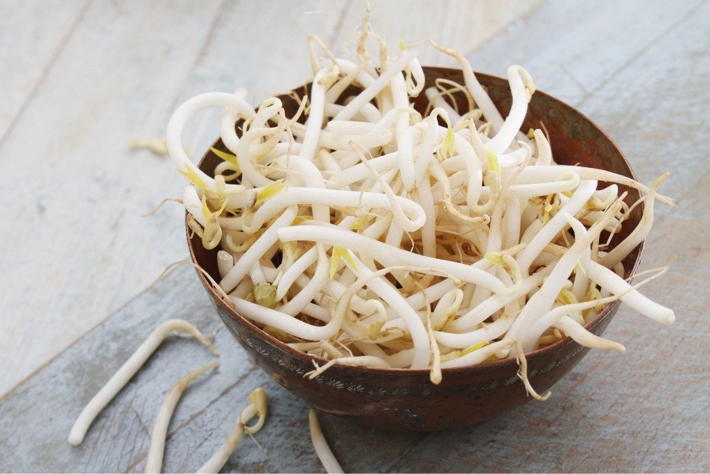 芽菜減肥法 (圖片來源:Canva)