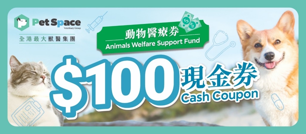 黃大仙區動物醫院 (圖片來源:Pet Space)
