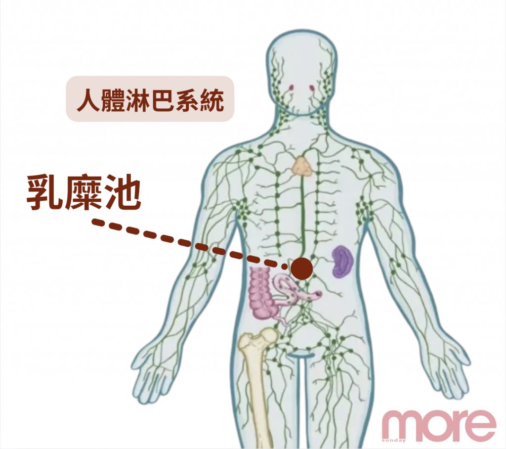 扭腰運動 (圖片來源:MORE製圖)