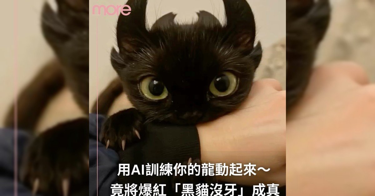 How to Train Your Dragon迷你「黑貓沒牙」真動起來？！