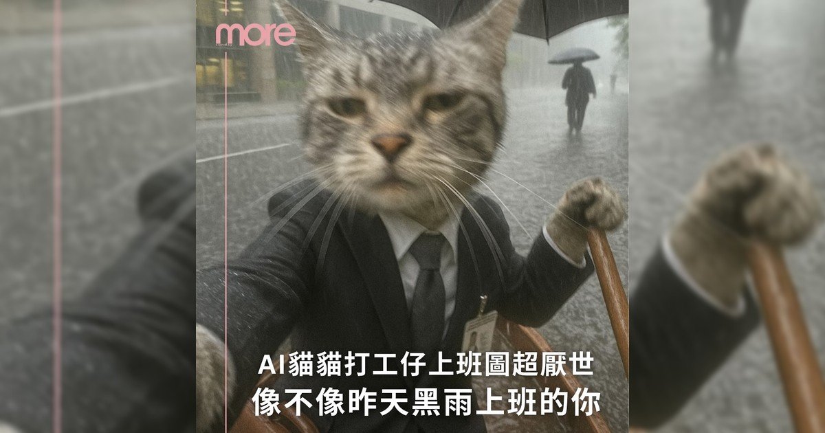 打工貓像不像平日上班你？