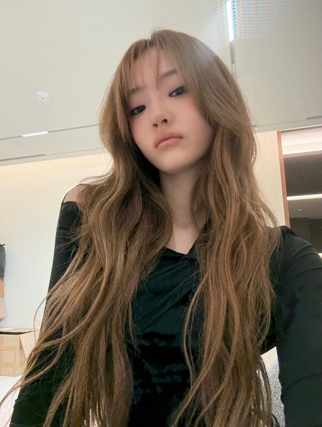 洗頭後掉髮怎麼辦？中醫拆解5大原因：飲桑寄生紅棗補血茶改善脫髮