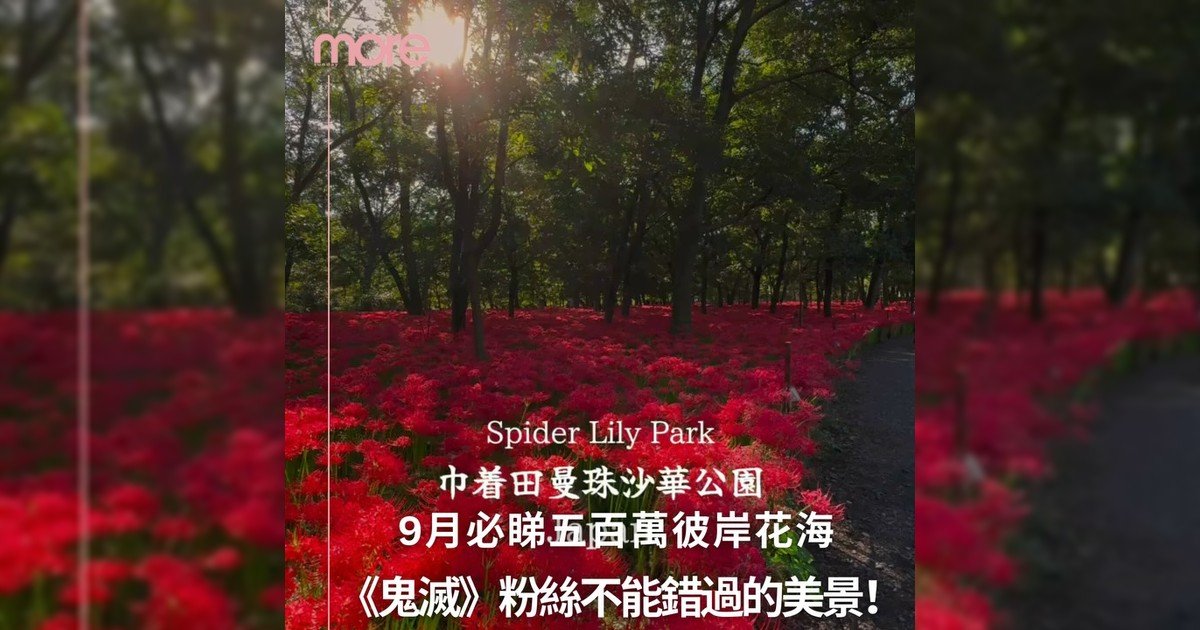東京近郊五百萬朵彼岸花火紅綻放 《鬼滅》粉絲不能錯過美景❤️