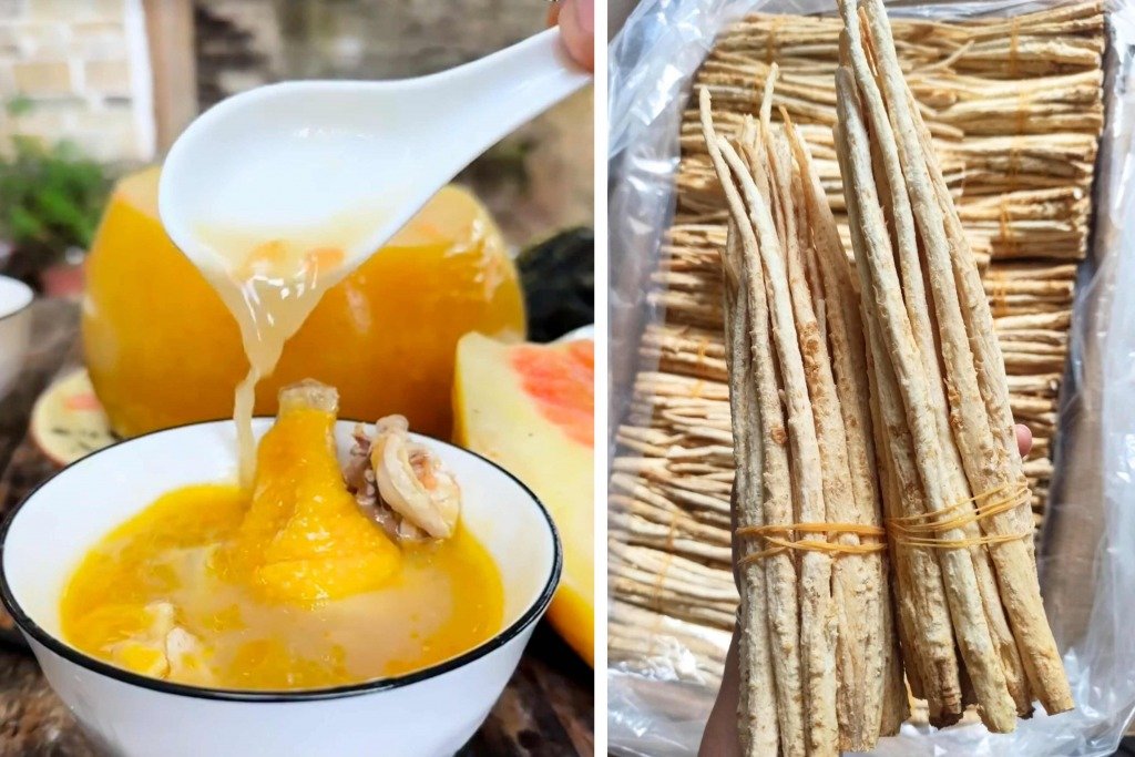 白露 (圖片來源:RED@福哥三農)