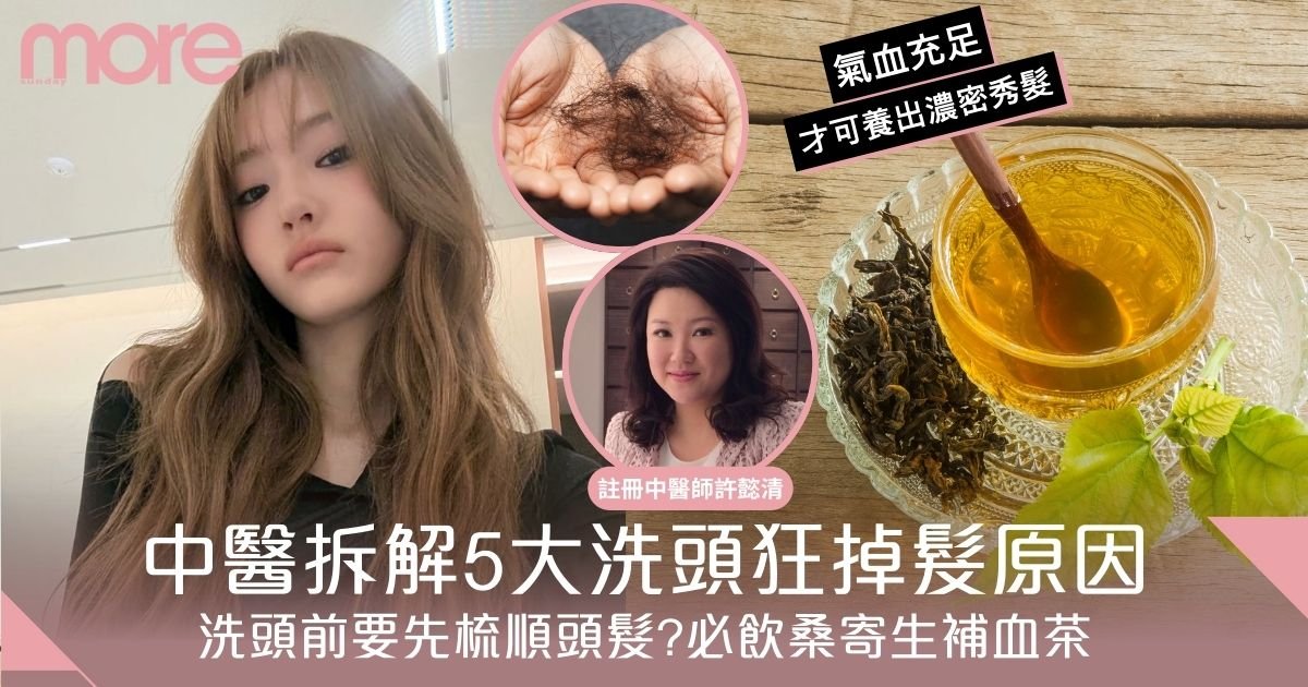 洗頭後掉髮怎麼辦？中醫拆解5大原因：飲桑寄生紅棗補血茶改善脫髮