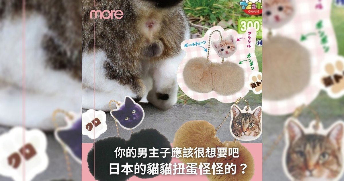 貓貓扭蛋又再進化!就連那毛茸茸東東也有?!