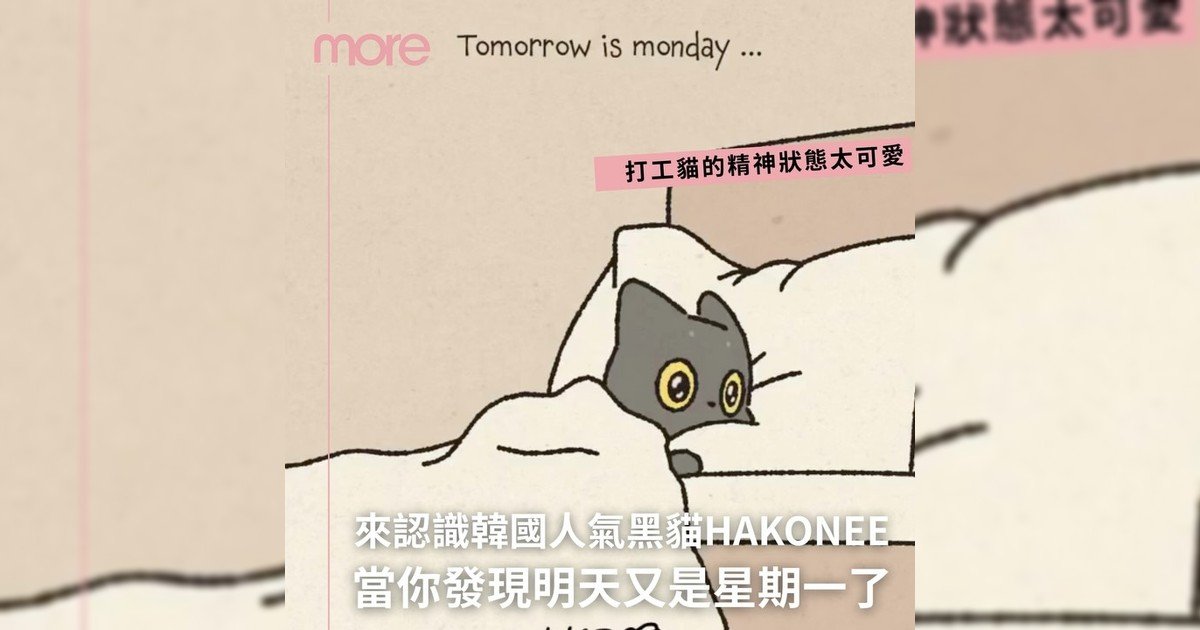 今日份可愛擔當 🐾遇見韓國黑貓 Hakonee