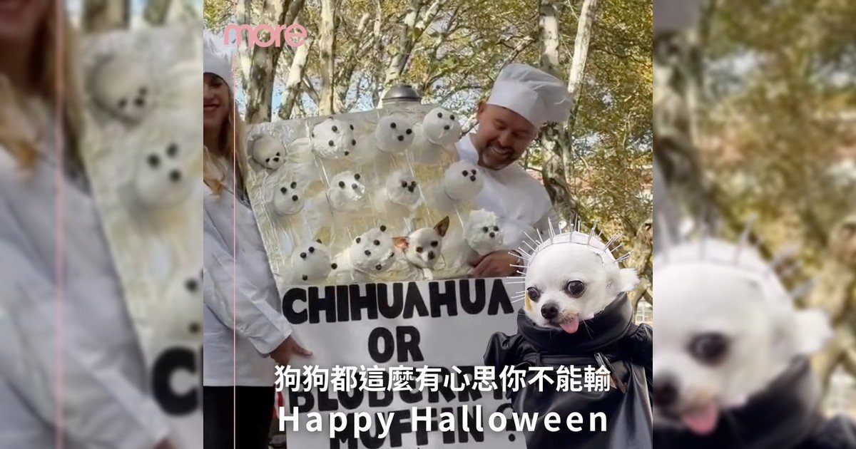 Happy Halloween！今年狗狗也變身可愛小惡魔