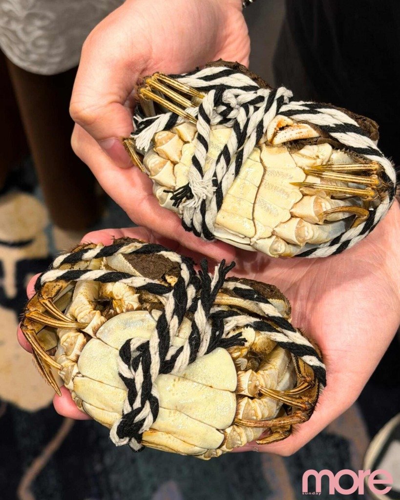 大閘蟹 上面腹部則尖長呈三角形為公蟹,下面腹部呈圓形的為母蟹。(圖片來源:Echo Cheung攝)