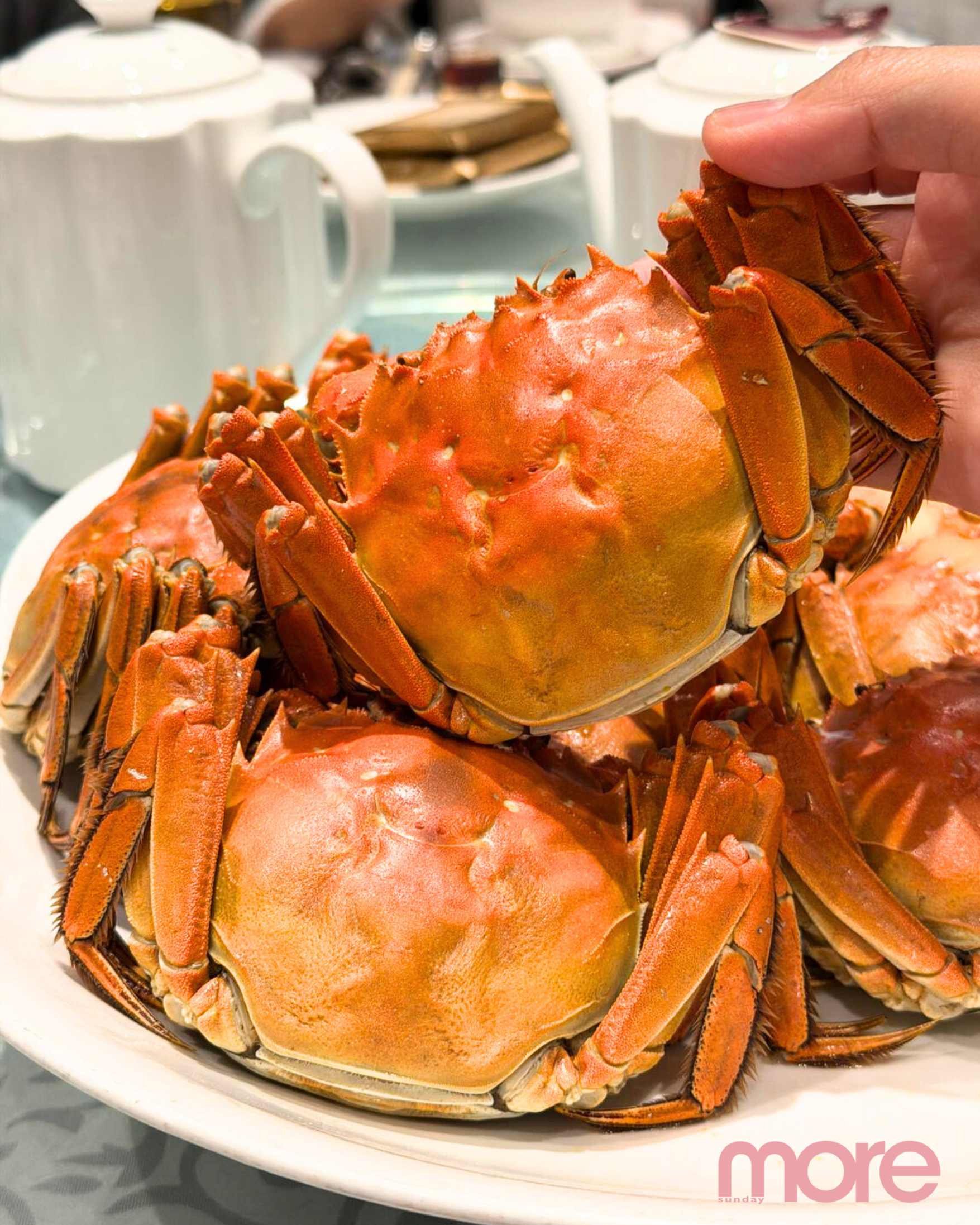 大閘蟹食法與禁忌｜怕寒配薑茶最佳！7類人勿食用｜附不可食用部位圖解
