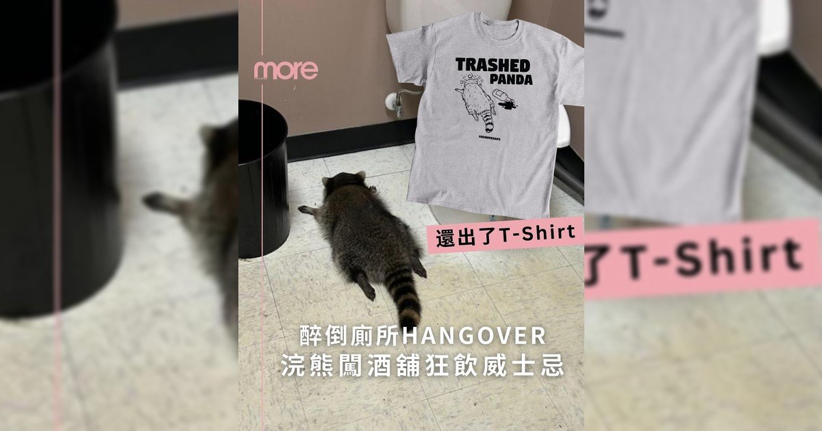 連浣熊喝醉後也懂得找洗手間？你也要做一位有禮貌酒鬼