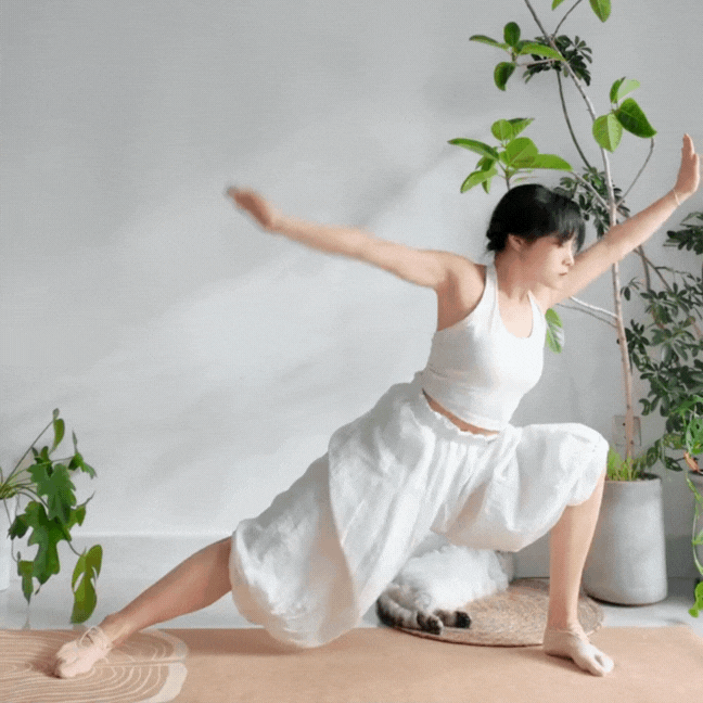 古法健身操 (圖片來源:RED@自律一隻猫)