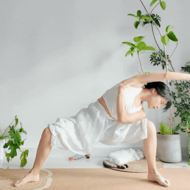 古法健身操 (圖片來源:RED@自律一隻猫)