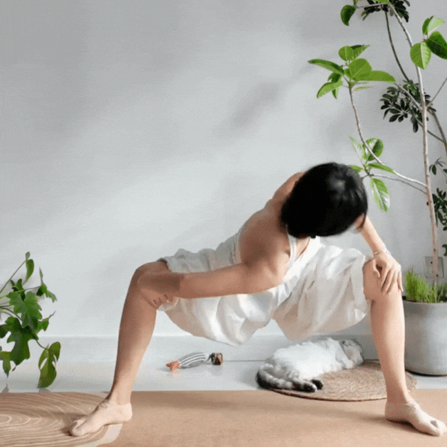 古法健身操 (圖片來源:RED@自律一隻猫)