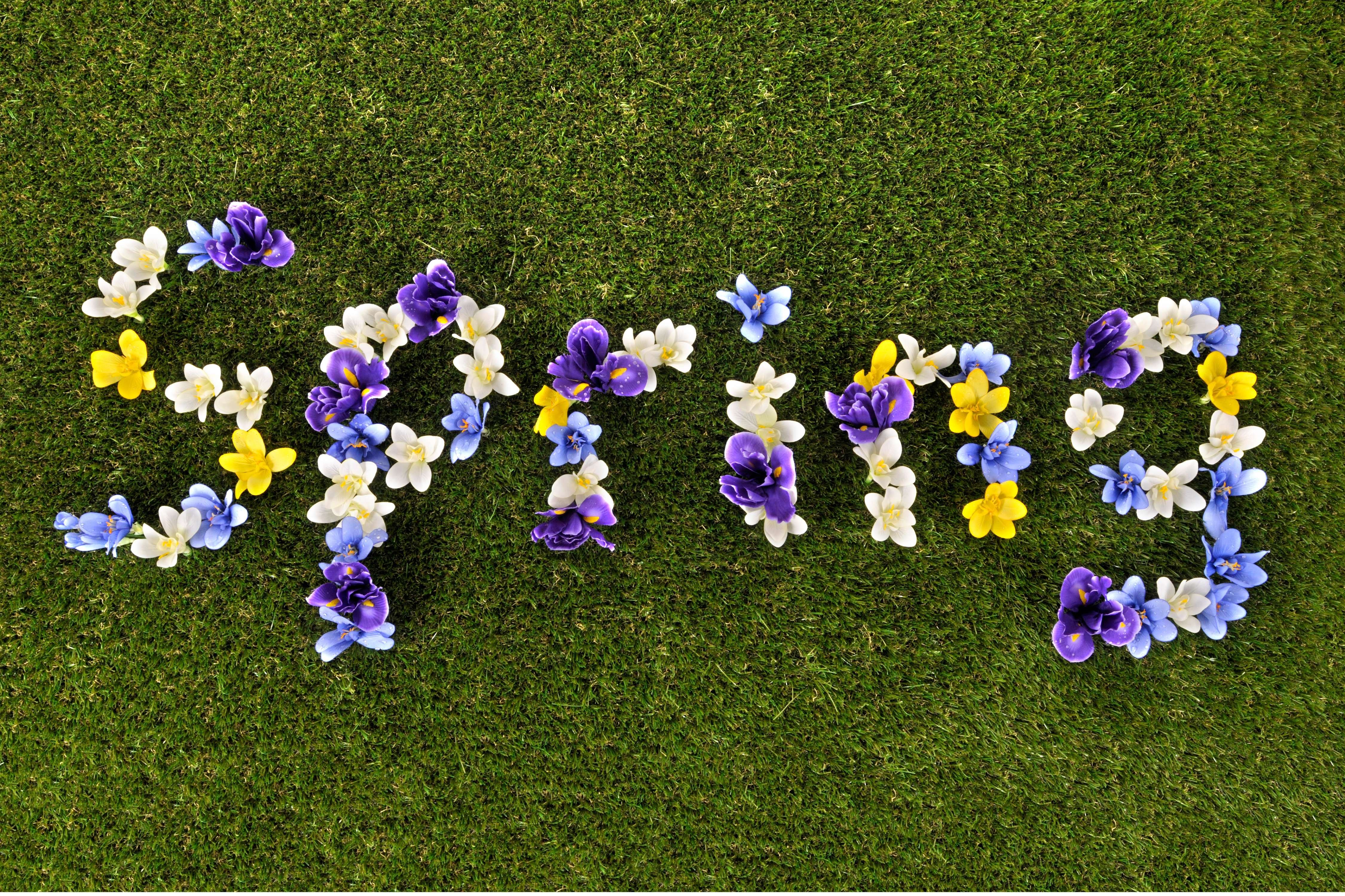 春分2026 (圖片來源:Canva)