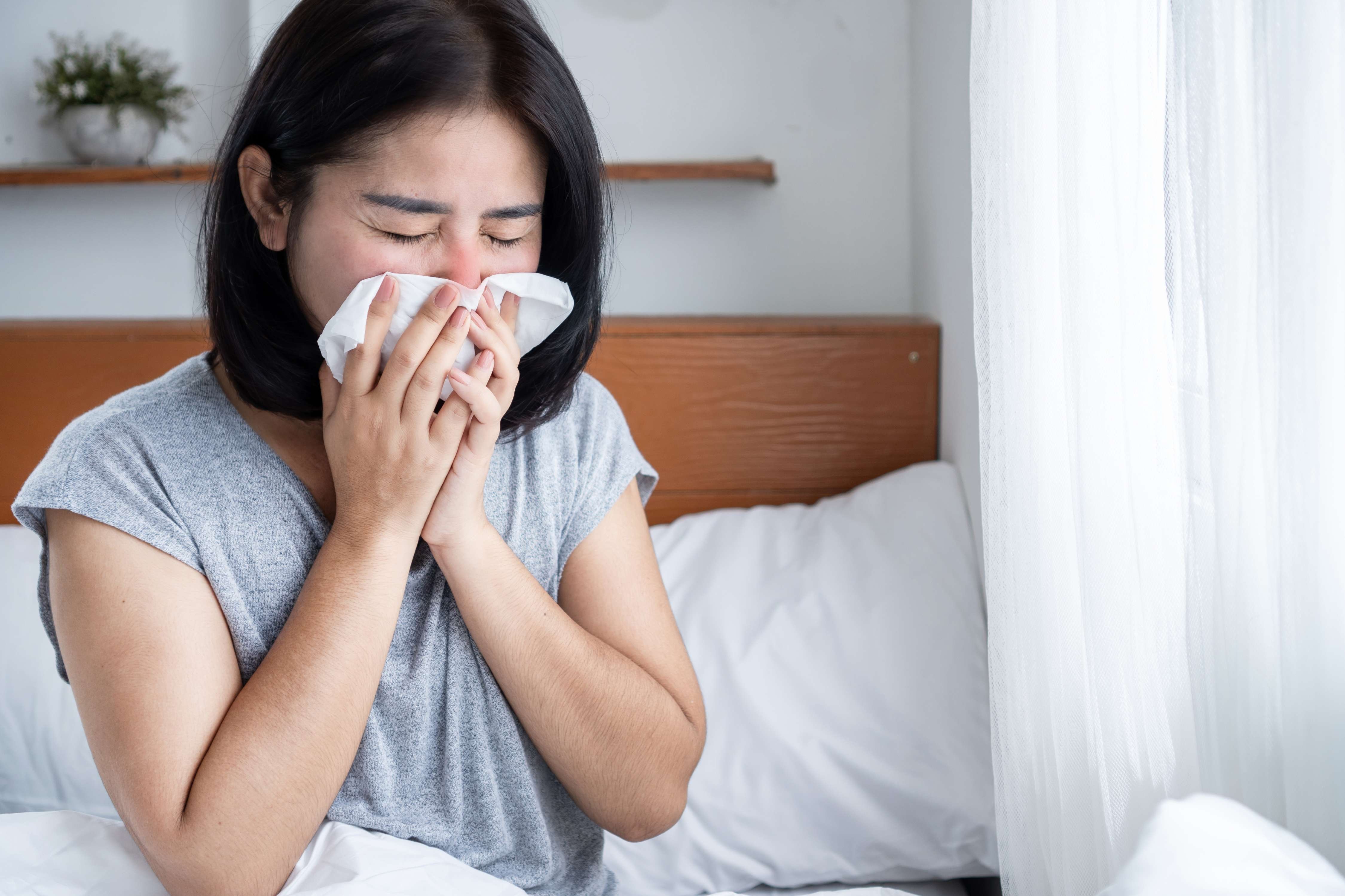 春分2026 (圖片來源:Canva)