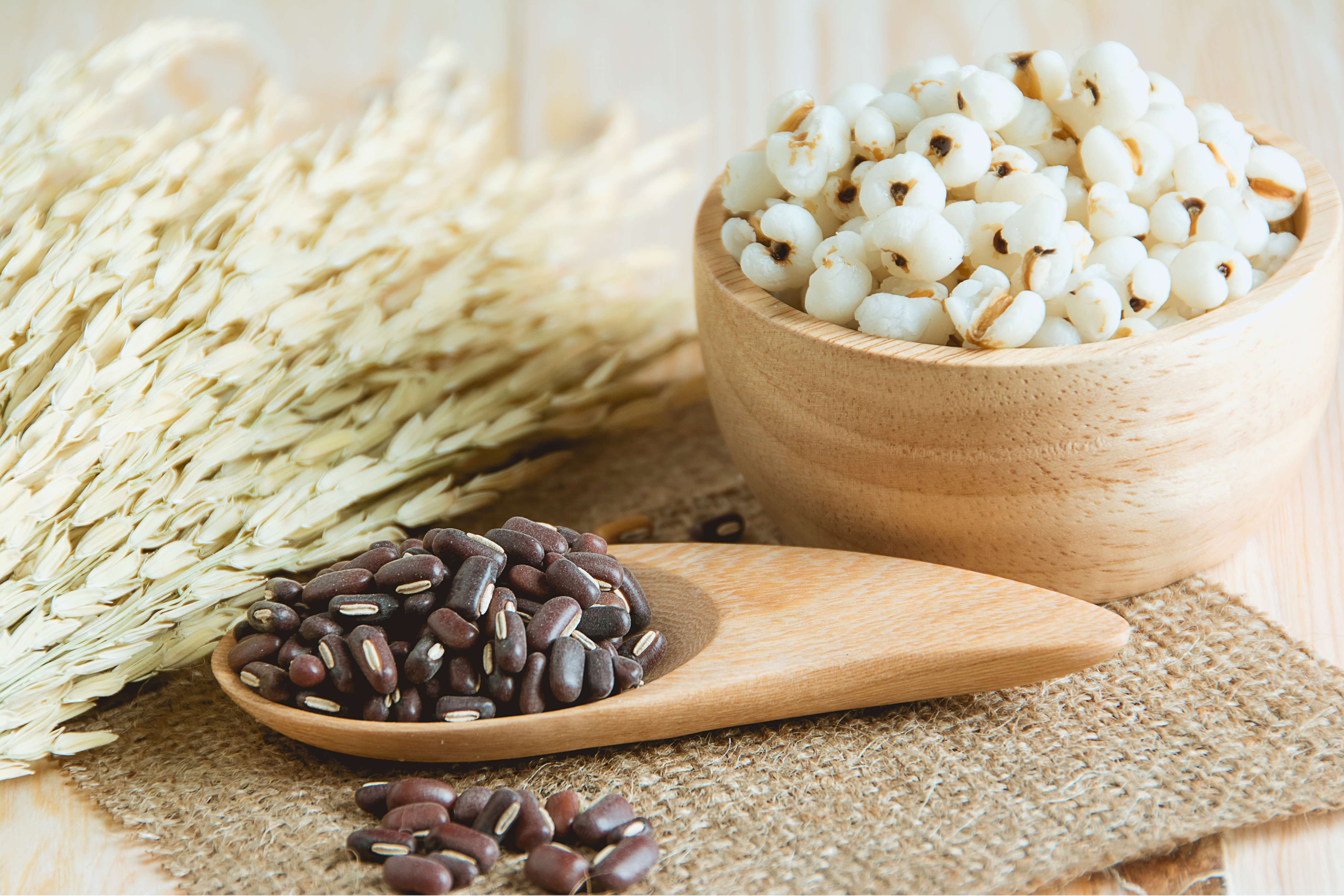 春分2026 (圖片來源:Canva)