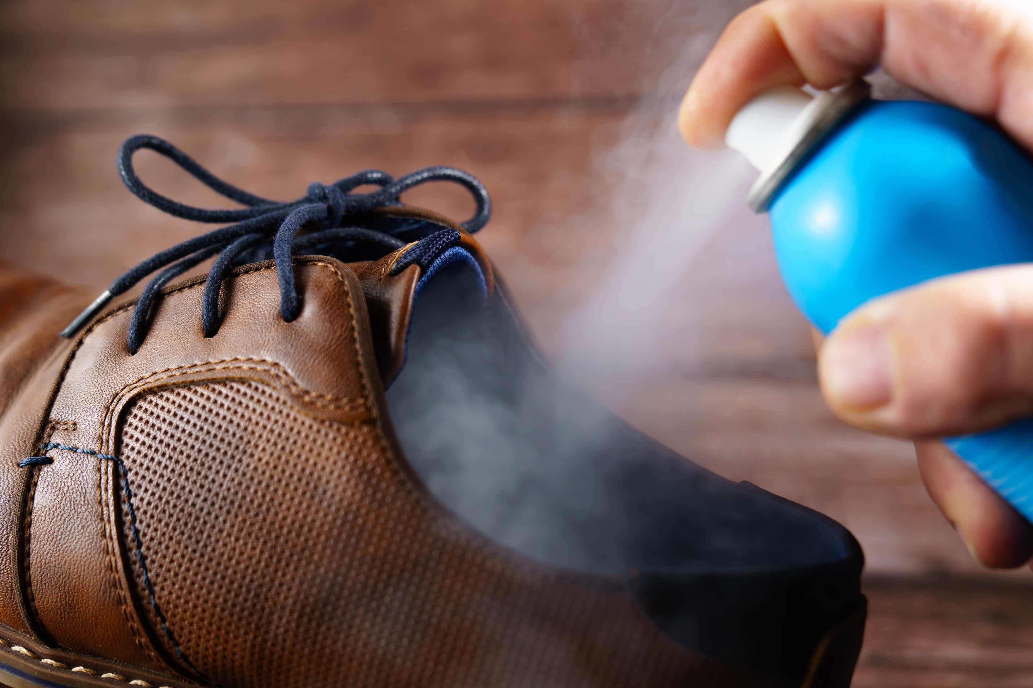 換季衣物收納 (圖片來源:Canva)